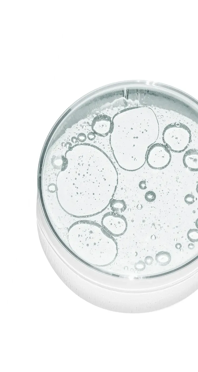 Petri dish