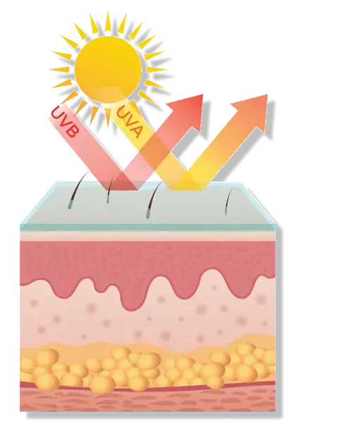 Physical sunscreen diagram
